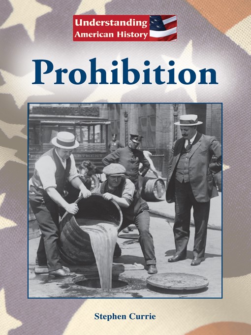 an understanding of the prohibition in the united states an understanding of the prohibition in the united states